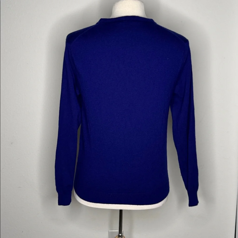 J. Crew Sweater V neck long sleeve blue size large 100% MERINO WOOL